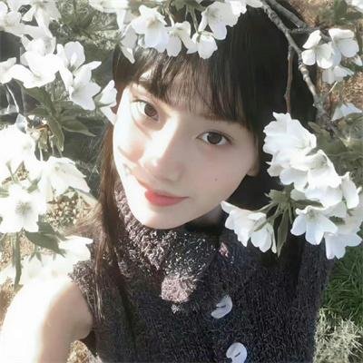 高校应召女郎的秘密生活封面